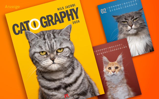 Werbeteaser: Der Hintergrund ist orange. Auf dem Teaser ist der Kalender "Catography 2026" mit Porträts von Katzen von dem Fotografen Nils Jacobi aus dem Ackermann Verlag abgebildet. Auch zwei weitere Innenabbildungen aus dem Kalender sind zu sehen. Die Katzenbilder sind teils schön, teils lustig oder richtig witzig. Der Link führt zur Detailseite des Kalenders mit Bestellfunktion.