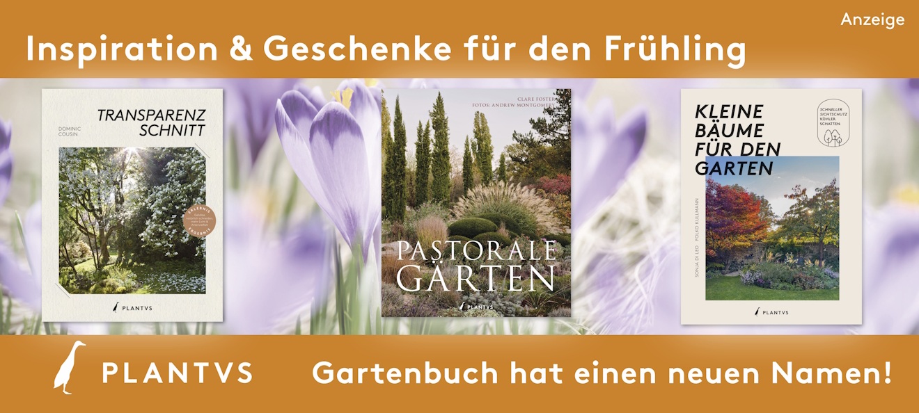 Werbebanner: Im Hintergrund ist ein Foto mit mehreren Krokussen zu sehen. Darauf sind 3 Buchcover von Gartenbüchern aus dem Plantsvs Verlag abgebildet. Oben und unten sind orangefarbene Balken. Im oberen Balken steht: "Inspiration & Geschenke für den Frühling". Im unteren Balken steht: "PLANTVS Gartenbuch hat einen neuen Namen". Der Link führt zu einer Unterseite mit 6 Gartenbüchern des Verlages.